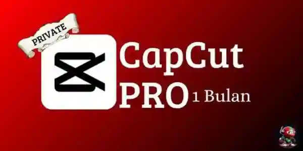 CapCut Pro 45 Day Renew